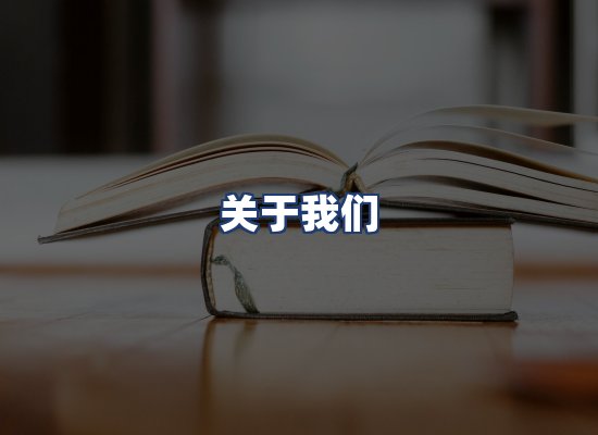 关于我们